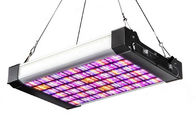 IR UV SMD LED d'intérieur élèvent des 120 watts léger pour l'exposition 385 x 225 x 77 de fleur