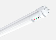 Lumières commerciales blanches chaudes 3W de secours de LED 1,2 mètres de bureau d'entrepôt d'atelier