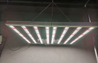 600w la LED que d'intérieur cultivent l'usine d'intérieur légère élèvent les lumières AC85 - tension d'entrée 265V
