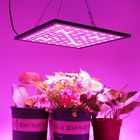 De rendement optimum légers élèvent des lumières ont mené la floraison élèvent des lumières 3 ans de garantie