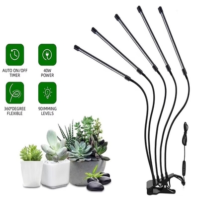 Lampe de culture de plantes à clip à spectre complet et à faible intensité avec lumières bleu rouge pour serre ou plante d'intérieur