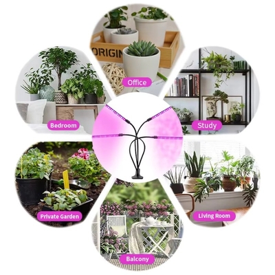 Lampe de culture de plantes à clip à spectre complet et à faible intensité avec lumières bleu rouge pour serre ou plante d'intérieur