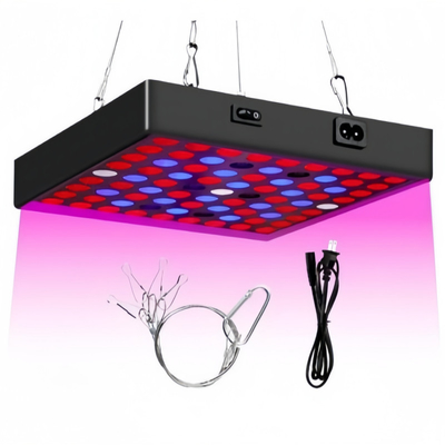 Lumière de croissance des plantes à spectre complet à LED 50W 80W Lumière rouge bleue pour serre