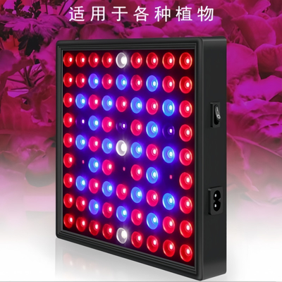 Lumière de croissance des plantes à spectre complet à LED 50W 80W Lumière rouge bleue pour serre