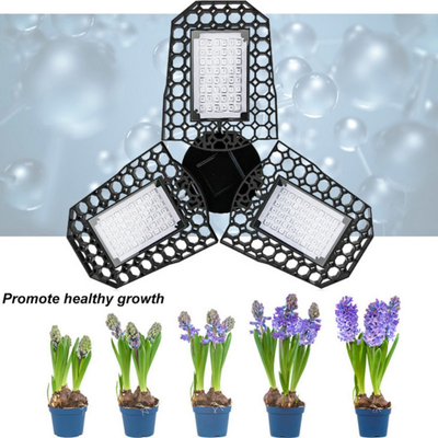Des lumières de croissance LED pliées Spéctrum rouge bleu pour la serre Plantes d'intérieur Promouvoir la croissance des plantes