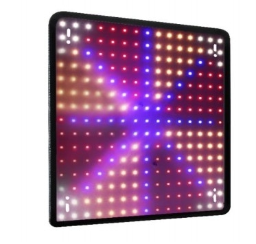 Modèle économique Lampes à spectre complet pour la croissance des plantes Lumière rouge bleue pour l'éclairage des serres