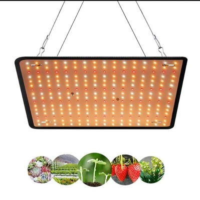 Modèle économique Lampes à spectre complet pour la croissance des plantes Lumière rouge bleue pour l'éclairage des serres