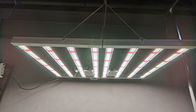 SMD 2835 LED d'intérieur élèvent la lumière/lumières menées IP65 Lightwieght de jardin d'intérieur