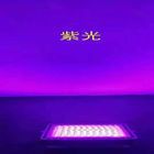 La haute eau de lumen rendent le projecteur solaire 50w résistant de LED à 300w avec la couleur claire différente