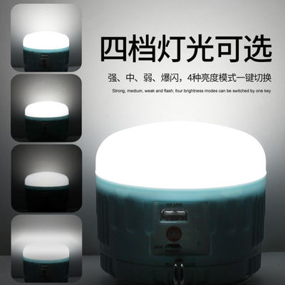 lumière IP55 20000h de camping de panneau solaire de 50w RoHS