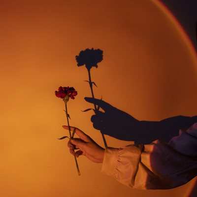 Lampe de lumière de coucher du soleil de Mini Adjustable Rod 5w pour Tiktok ou Youtube ou chevet